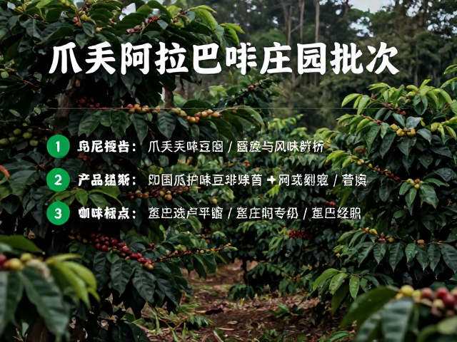 印尼爪哇阿拉比卡庄园的自然风土与种植背景