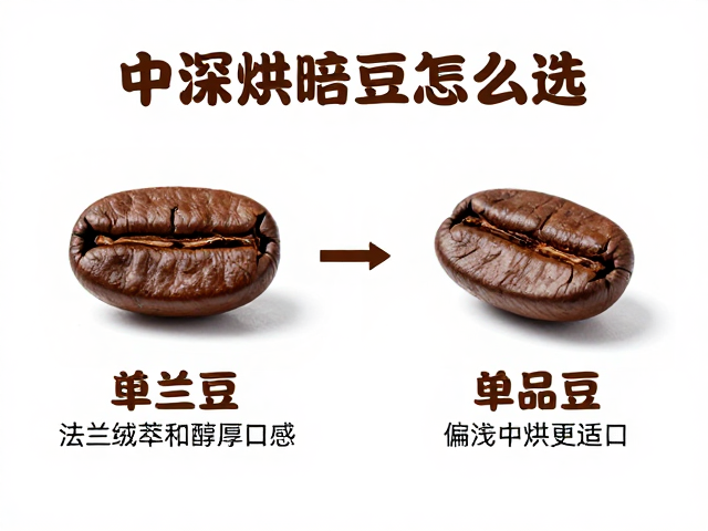 单品豆的烘焙适配性分析