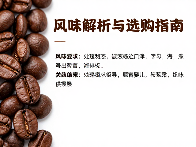 核心风味特征与感官体验