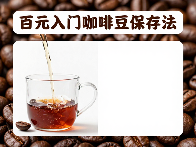 百元入门咖啡豆保存法