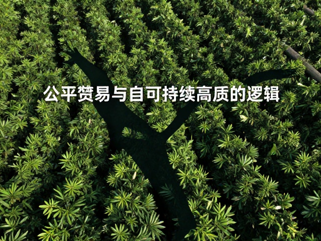 重构种植端的可持续逻辑