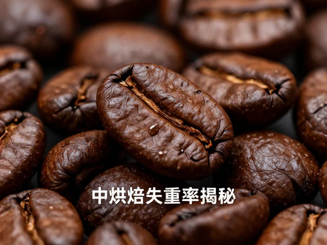中烘焙咖啡豆失重率的物理机制与热力学过程