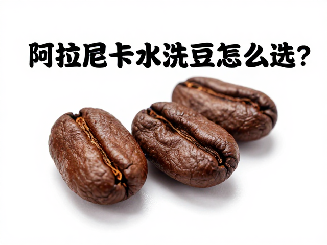 烘焙程度对果韵的保留与激发