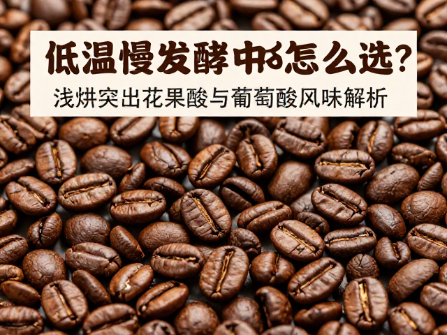 浅烘工艺对酸质风味的激发与定型