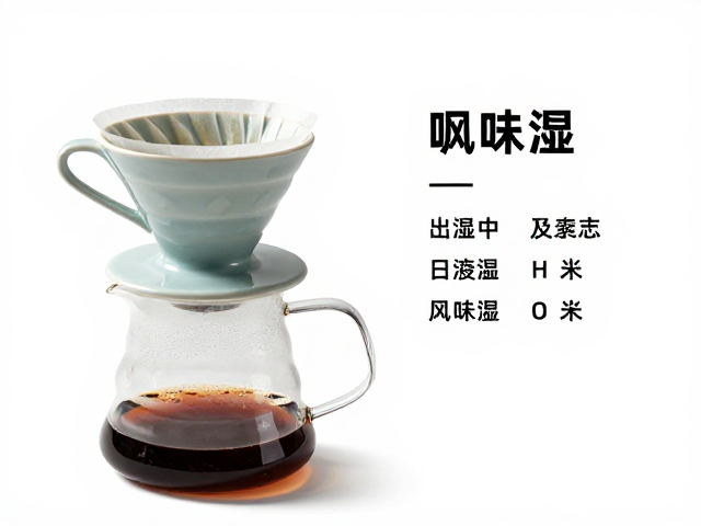陶瓷滤杯的热力学特性与水温控制逻辑