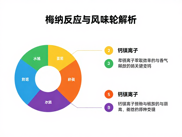 钙镁离子：萃取效率与香气释放的关键变量