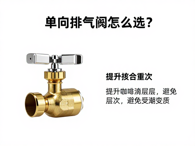 单向排气阀的核心功能与工作原理