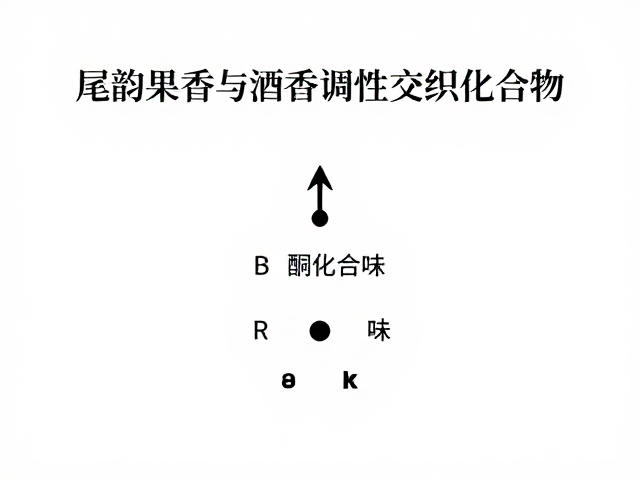 尾韵果香与酒香调性的交织逻辑