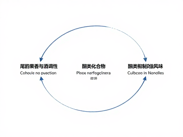风味感知的生理机制与体验闭环
