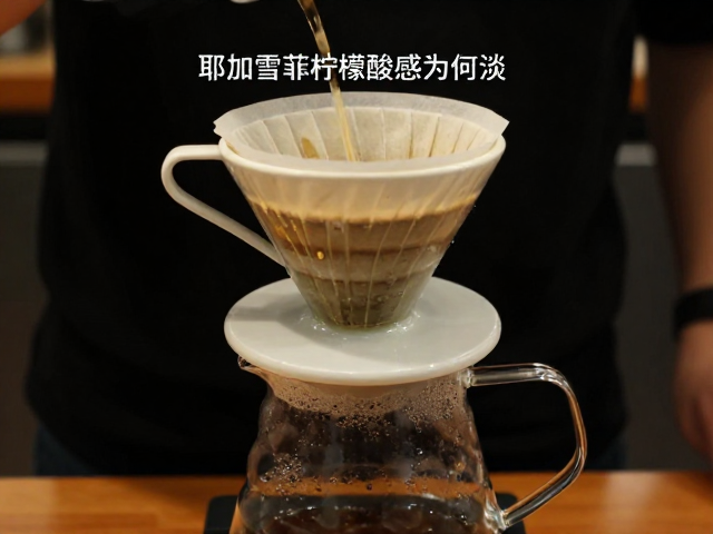 冲煮参数与滤杯结构的协同效应