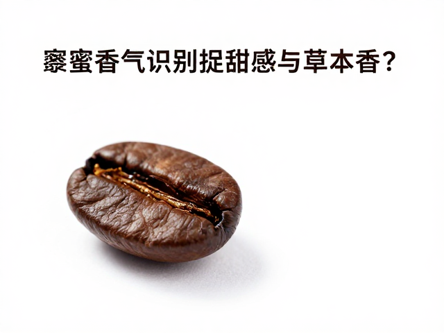 香气捕捉的感官评估与训练路径