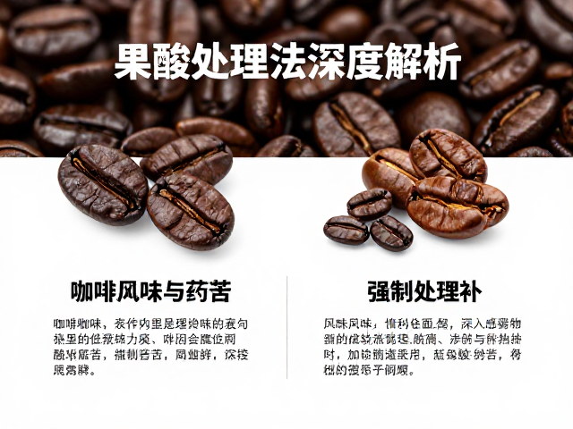 酸与苦的风味平衡机制