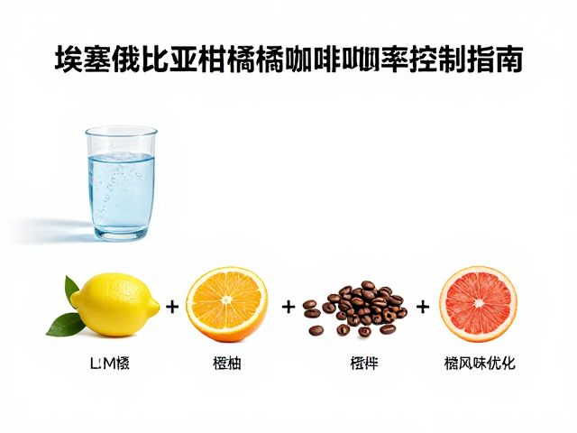 水质特性与豆种特性对最终风味的协同作用