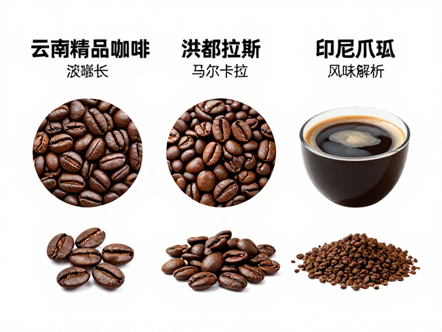三地风味的多维对比解析