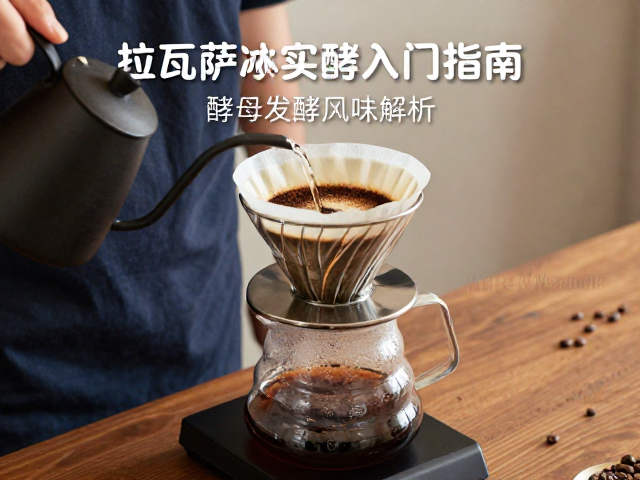拉瓦萨咖啡豆的酵母发酵风味特征