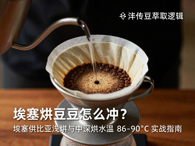浅烘豆的风味密码与萃取逻辑