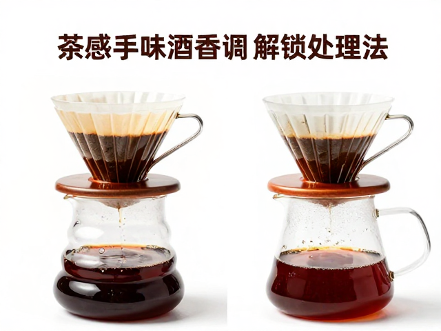 解锁风味的冲煮参数策略