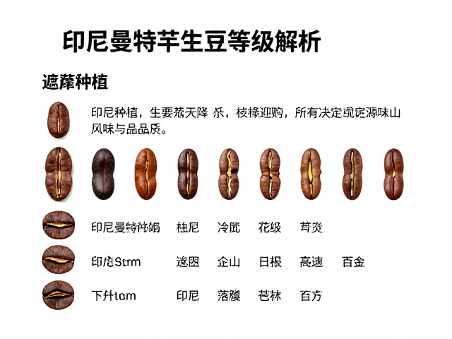 印尼曼特宁生豆的核心等级划分标准