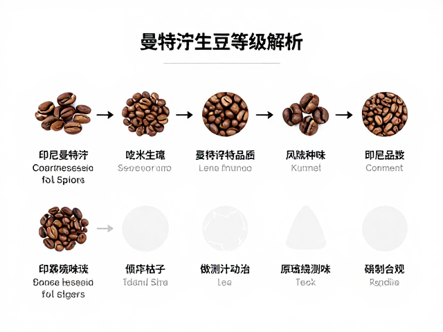 从生豆品质到杯测风味的转化路径