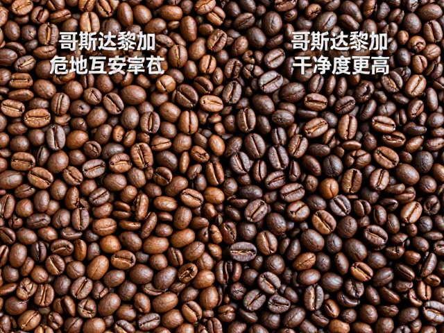 处理工艺对杂质去除的关键影响