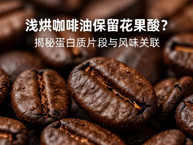 浅烘工艺对咖啡油脂与酸性物质的锁定机制