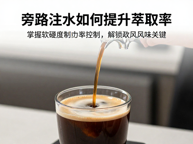 旁路注水的热力学基础与萃取平衡