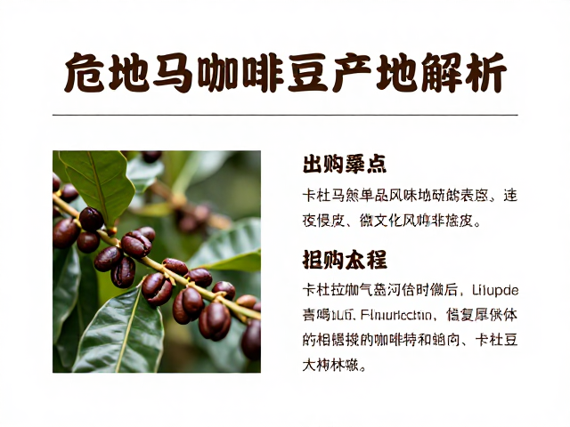 产地微气候对风味的影响
