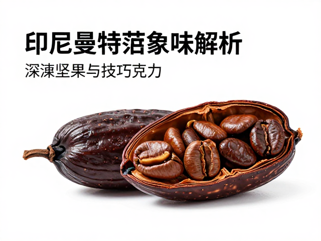 萃取建议：释放醇厚本质的技巧