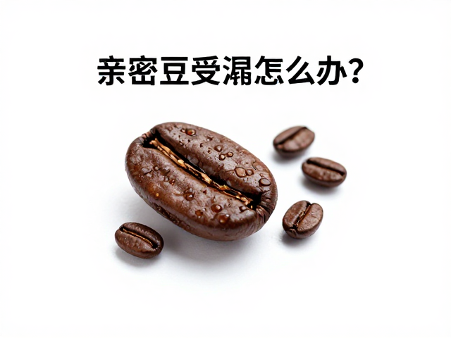 受潮成因与物理特性分析