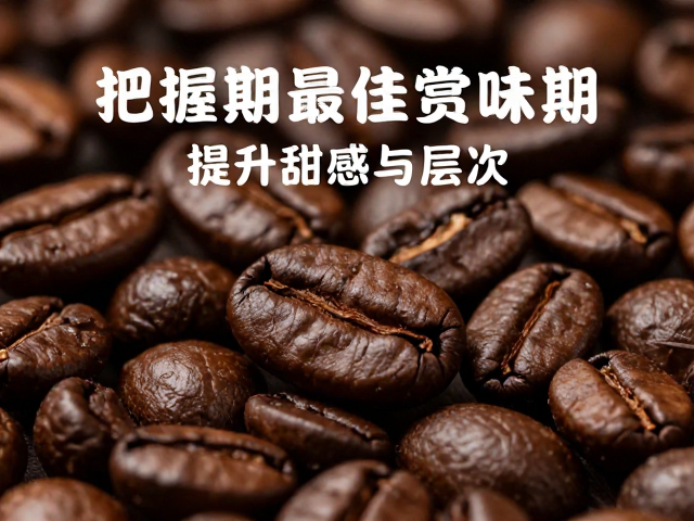排气状态对萃取参数的影响