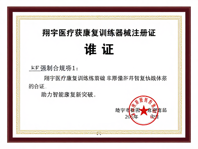 行业标准化与未来发展导向