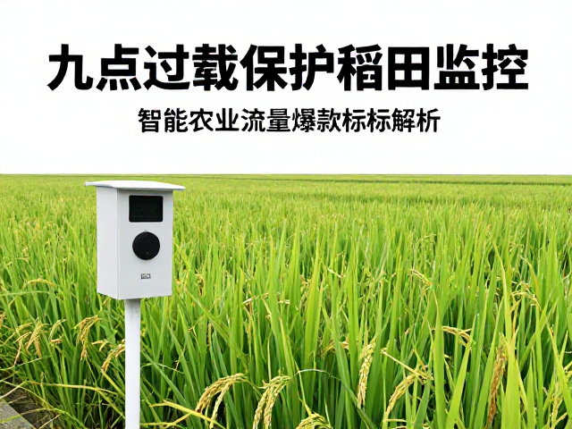 内容一致性对SEO收录的核心影响