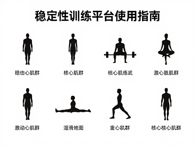 核心肌群激活的科学原理与生理基础