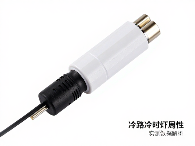 环境变量对粘性维持周期的具体影响机制
