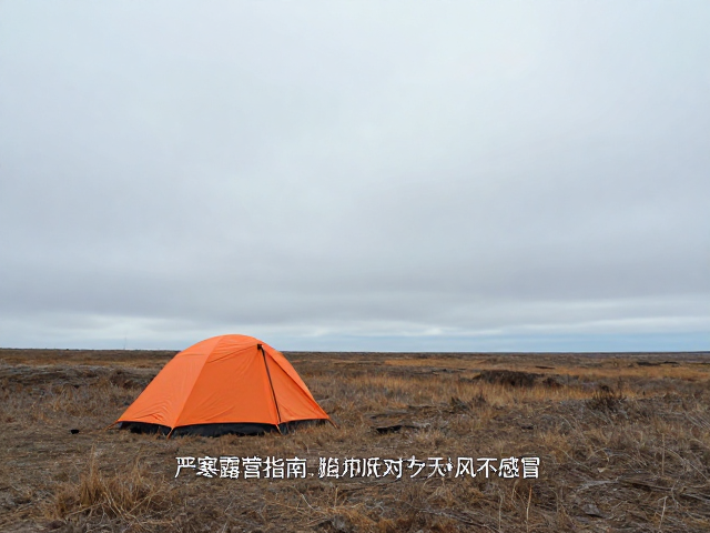 选址策略：地势与风向的决定性作用