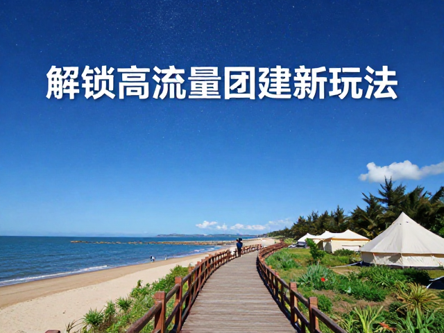 高流量玩法解析：内容传播与团队效能的双重驱动