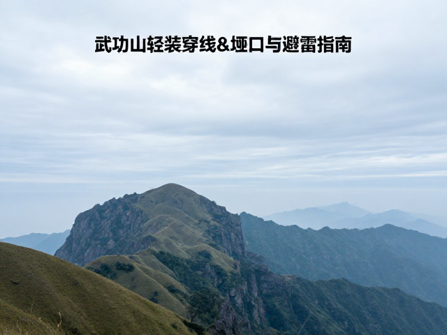 时间管理与节奏控制