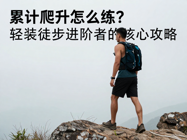 核心肌群与下肢力量的专项构建