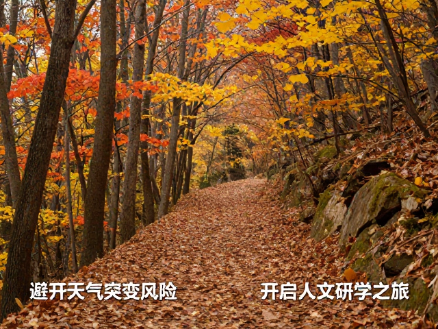 秋季古道徒步赏叶指南，避开天气突变风险，开启人文研学之旅
