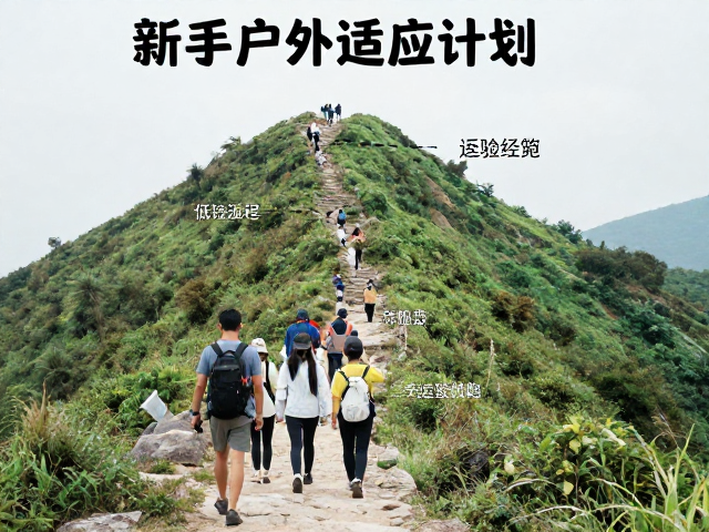 第三天:轻松返程与经验复盘