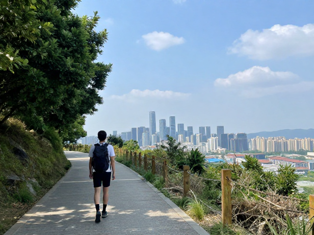 路线精选：从林荫道到云端视野