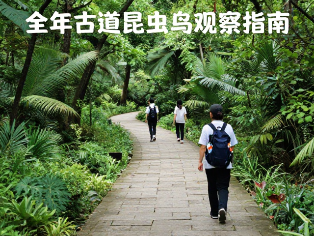 人文古道研学徒步的路线选择与文化溯源