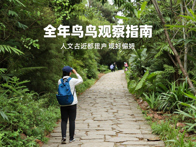 鸟类观察的栖息地偏好与听觉识别技巧