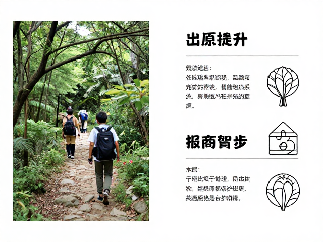 研学装备配置与安全防护规范
