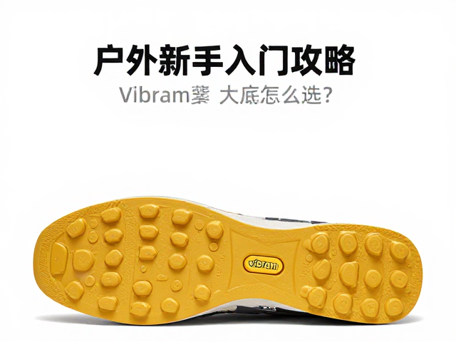 新手入门的选购关键点