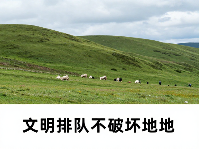 守护自然美景的长期价值