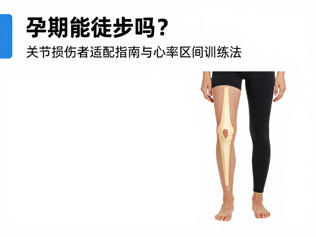 运动前后的关节保护与恢复机制