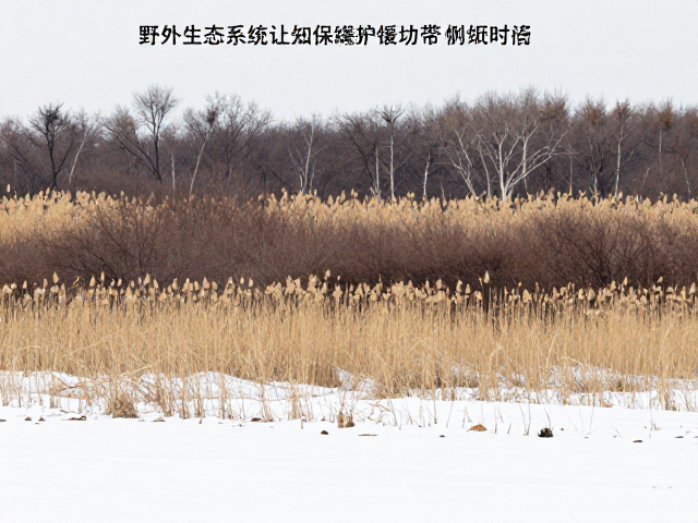 缓冲带的生态梯度过渡机制