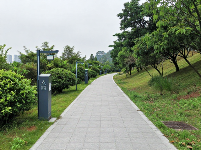 城市边缘的绿肺：环山步道的天然氧吧