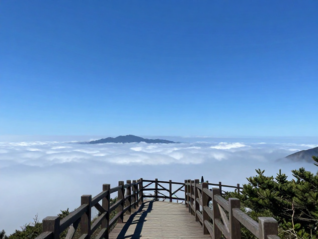 安全规范与应急处理指南